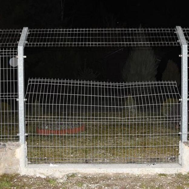 Postanowili zwiedzić ZOO pomimo tego, że było zamknięte